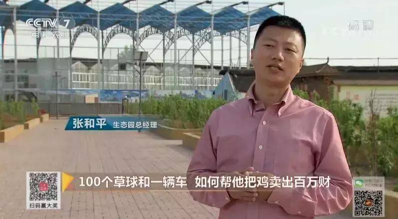 白羽乌鸡养殖成本与利润