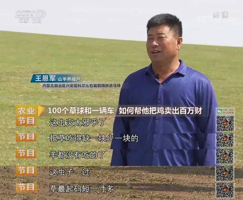 白羽乌鸡养殖成本与利润