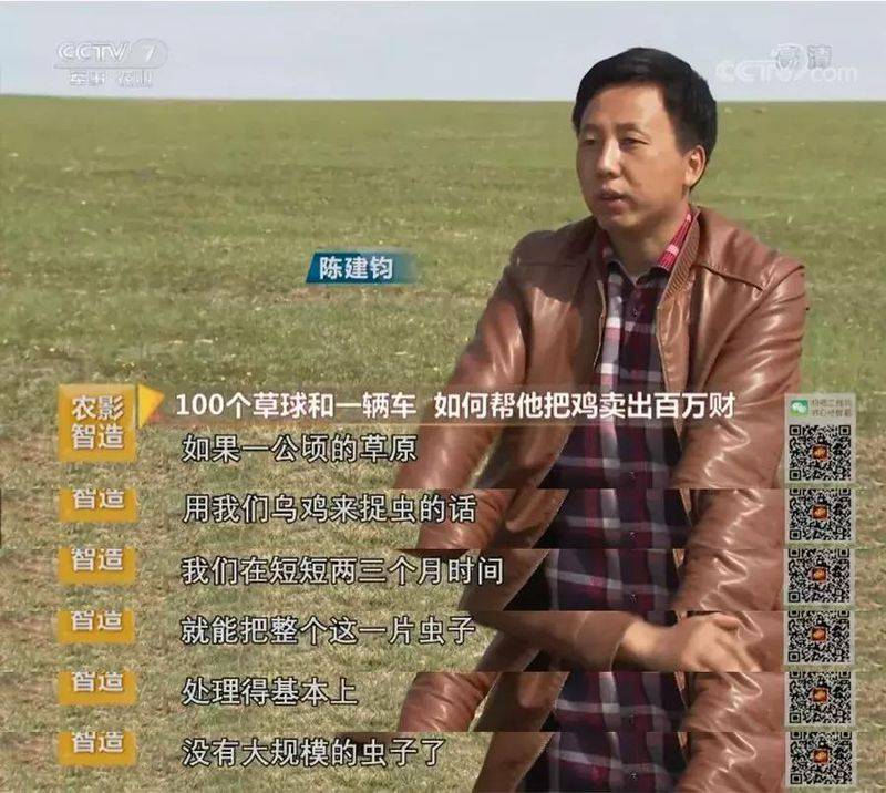 白羽乌鸡养殖成本与利润