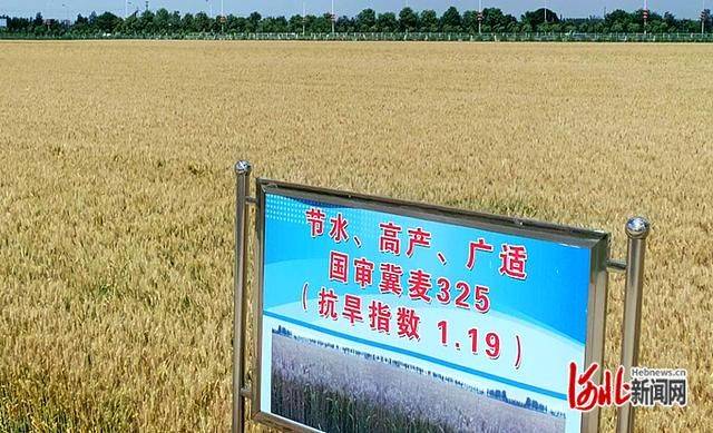 Smart farming techniques