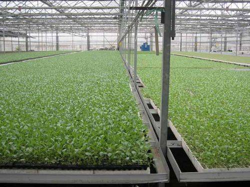 Smart farming techniques