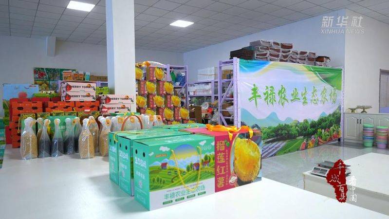 世界电子商务网站排名