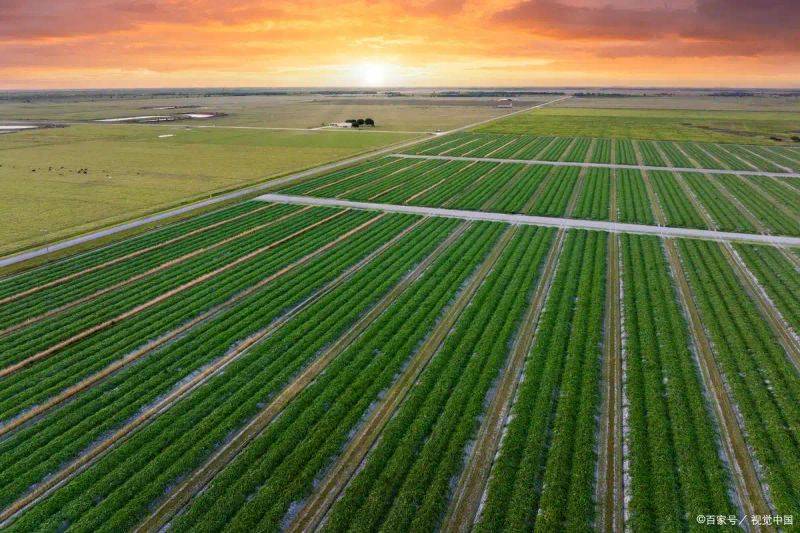 Smart farming techniques