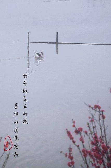 物候规律的诗句