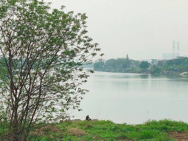 物候规律的诗句