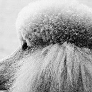 桥梁加固维修技术