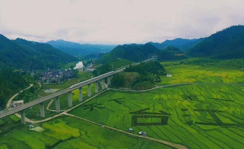 东营租车一天多少钱