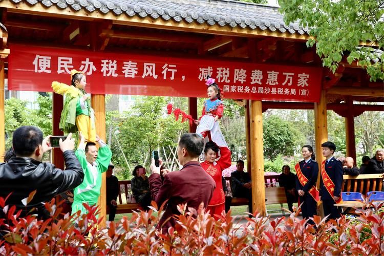 那儿收购山茱萸价格