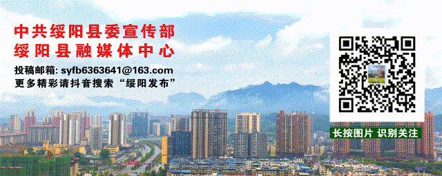 黄金茶苗种植技术