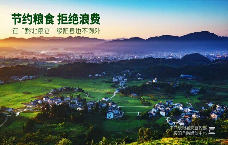 黄金茶苗种植技术