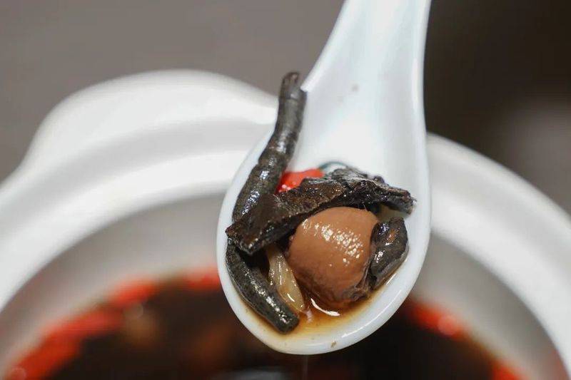 杜仲种子怎么种植技术