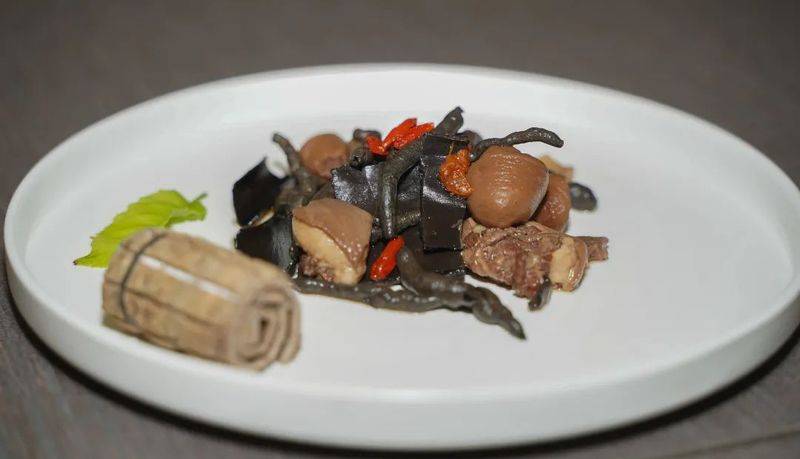 杜仲种子怎么种植技术