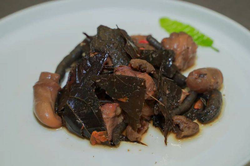 杜仲种子怎么种植技术