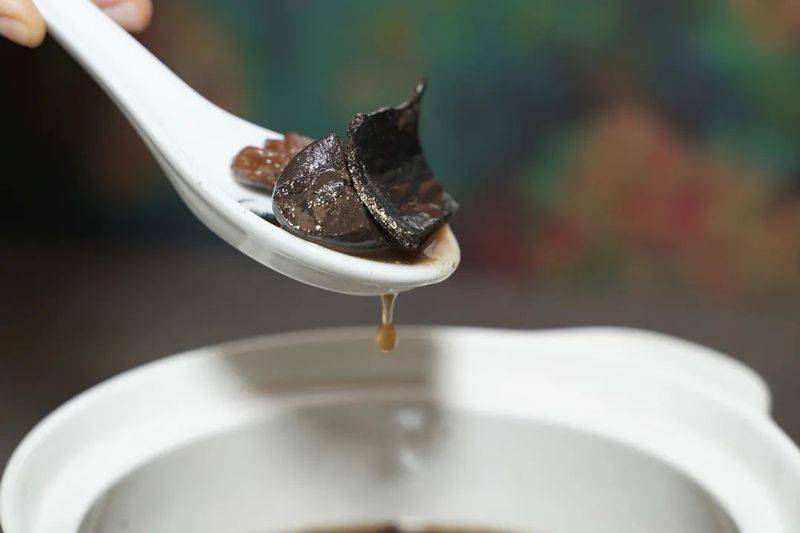 杜仲种子怎么种植技术