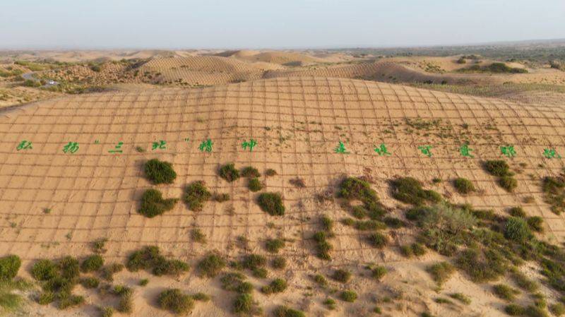 内蒙古鄂托克旗：绿进沙退 谱写防沙治沙的壮丽篇章