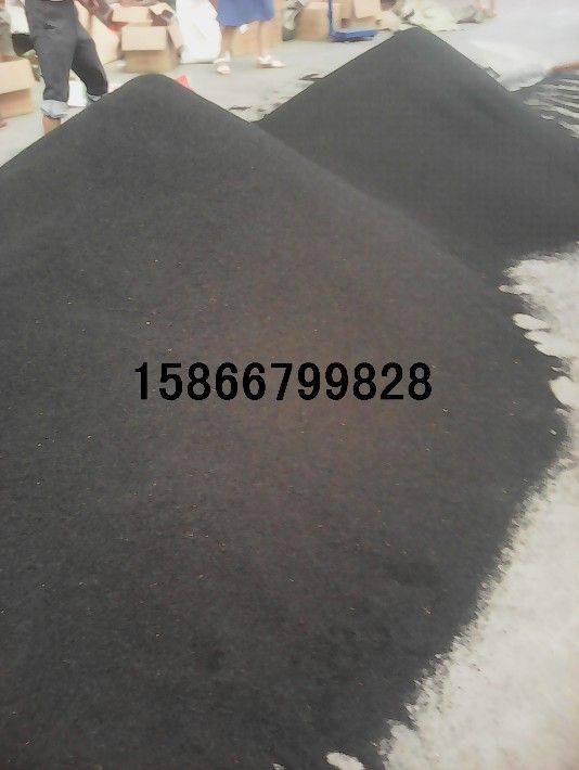 大葱种植技术图片