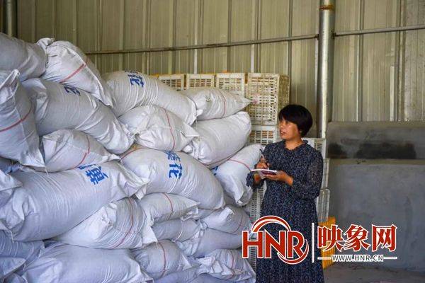 黄蜀葵的种植方法