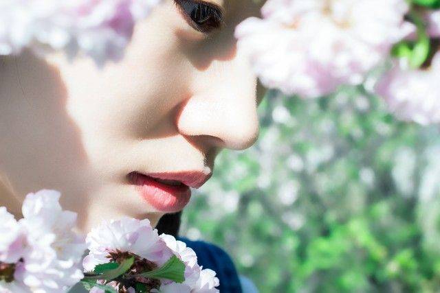 物候规律的诗句