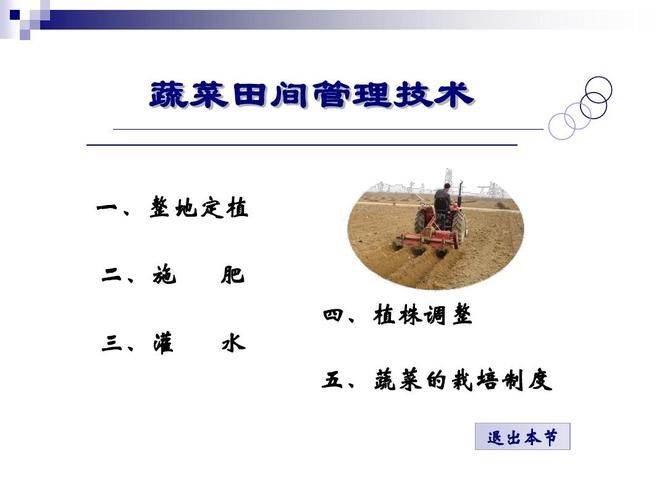 夏季蒜苗种植技术