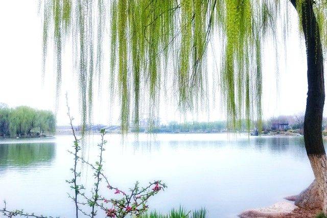 物候规律的诗句