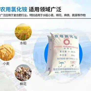 浙江 甜菜种植方法