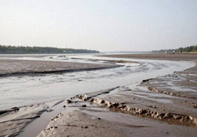 东营租车一天多少钱