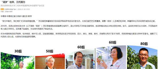 杜仲种子怎么种植技术