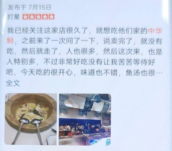 野生中华鲟多少钱一斤2026年