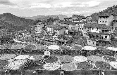 物候规律的诗句