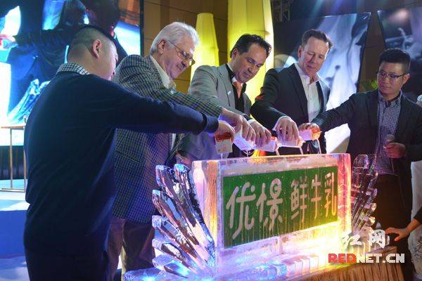 荷兰进口奶源特点