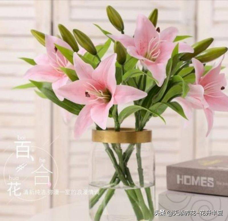 百合花种植方法