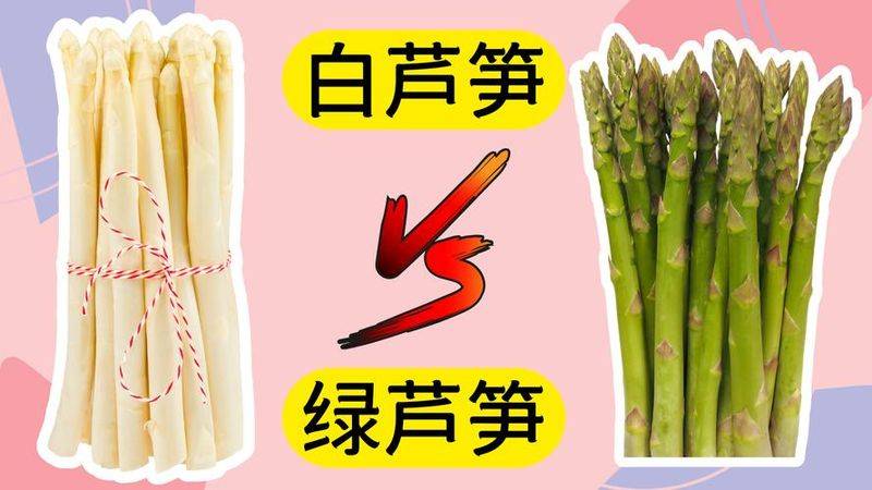 云杉树苗种植方法