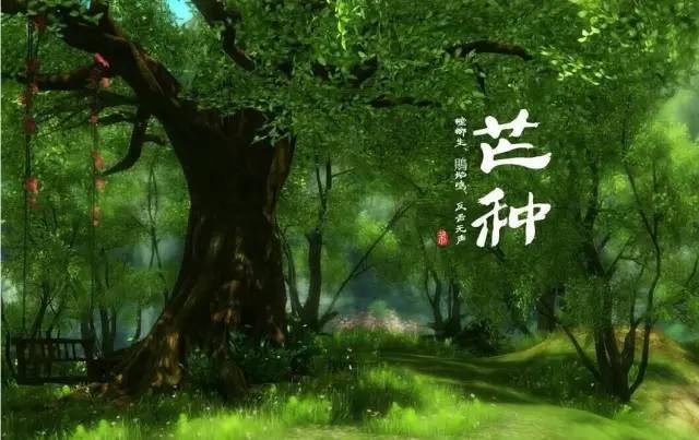 物候规律的诗句