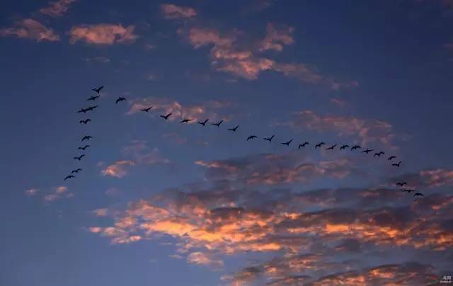 物候规律的诗句