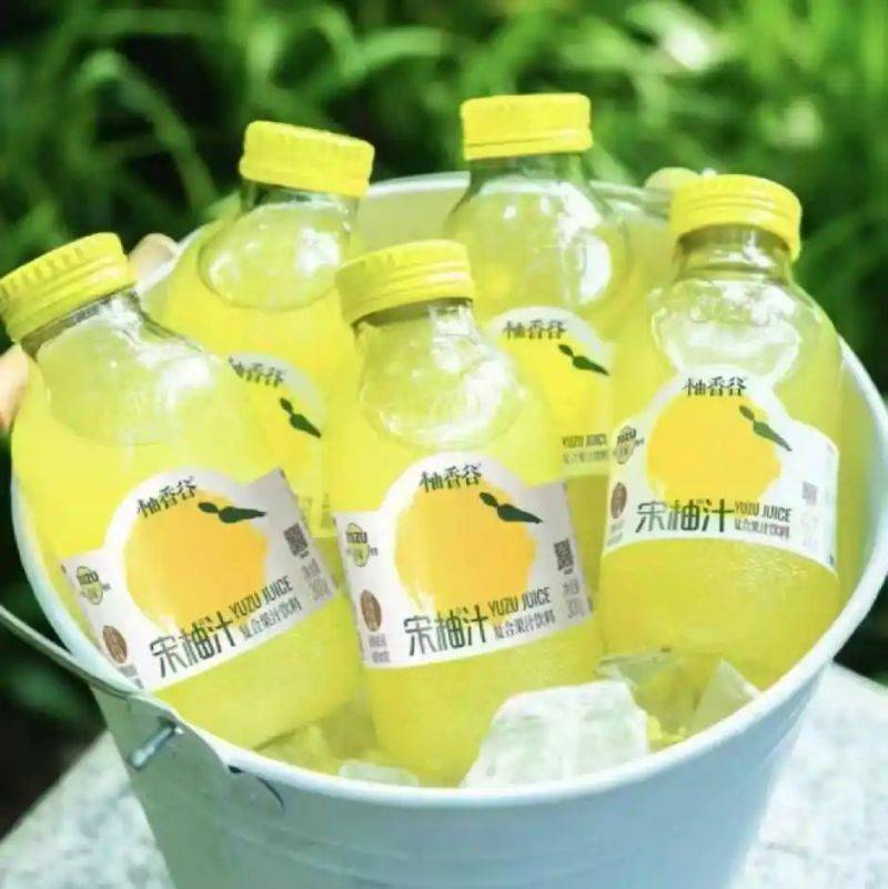 蔬菜汁饮品成本