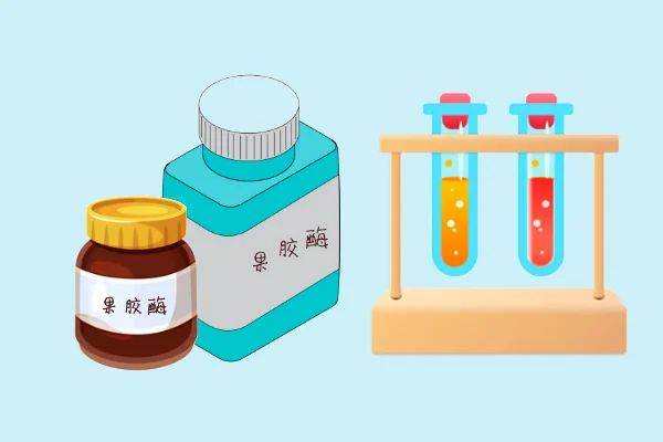 果胶酶澄清苹果汁的原理是什么