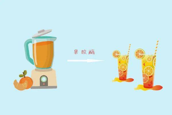 果胶酶澄清苹果汁的原理是什么