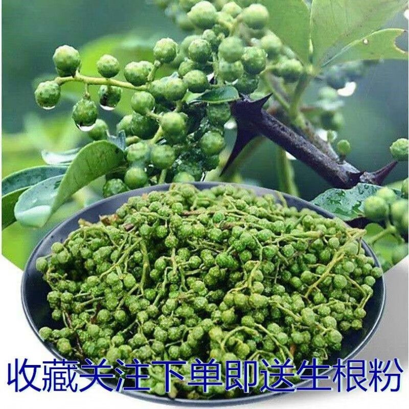 花椒树的种植方法图片