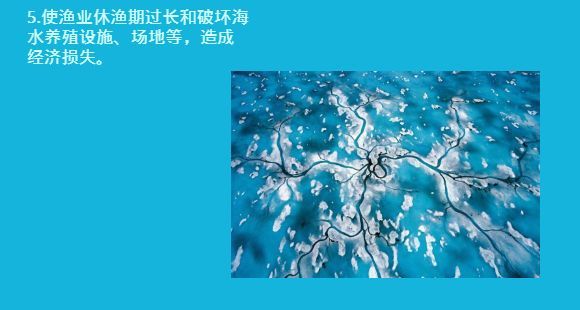 海洋 知识