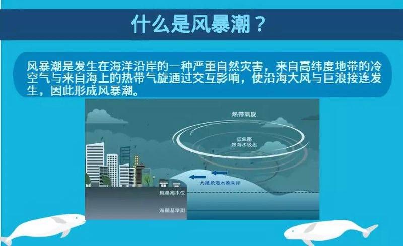 海洋 知识