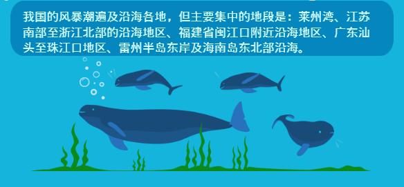 海洋 知识