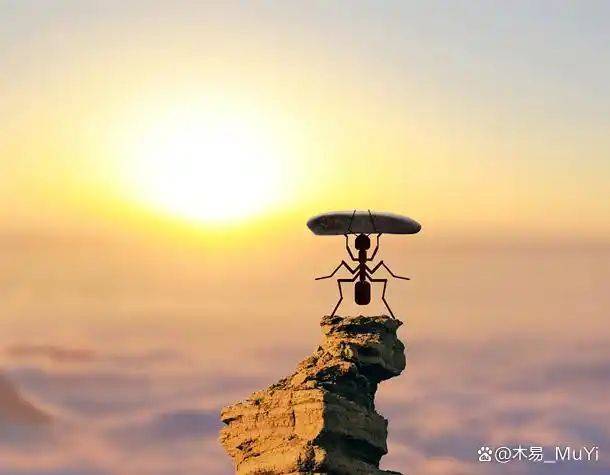 艾森豪多米诺骨牌理论