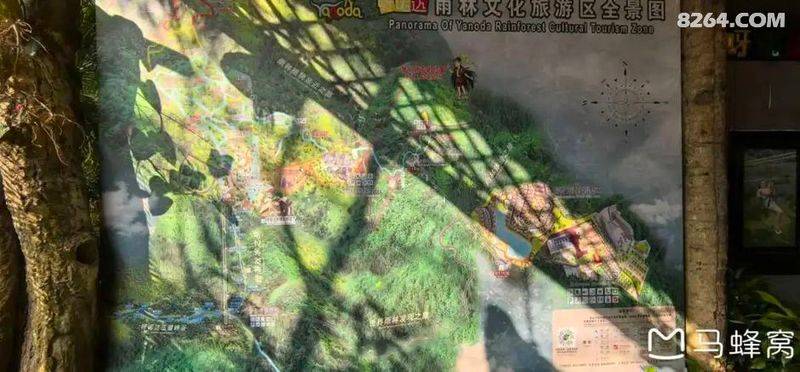 陵水青槟榔多少钱斤
