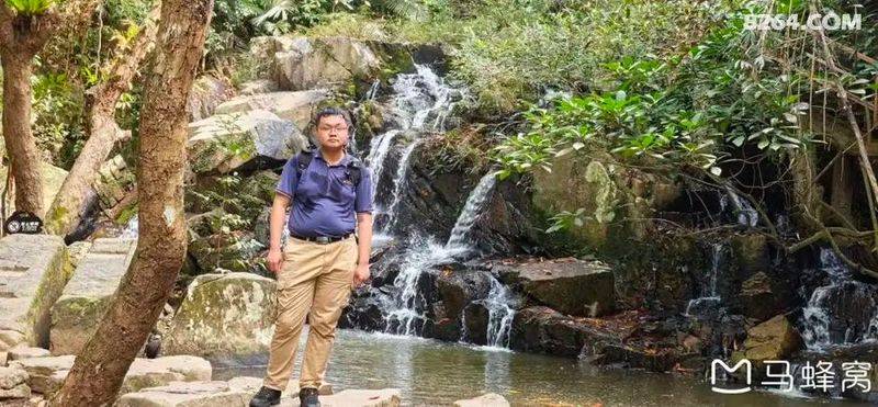 陵水青槟榔多少钱斤