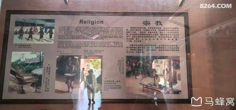 陵水青槟榔多少钱斤