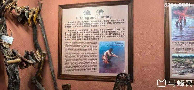 陵水青槟榔多少钱斤