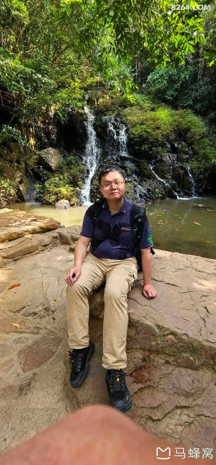 陵水青槟榔多少钱斤