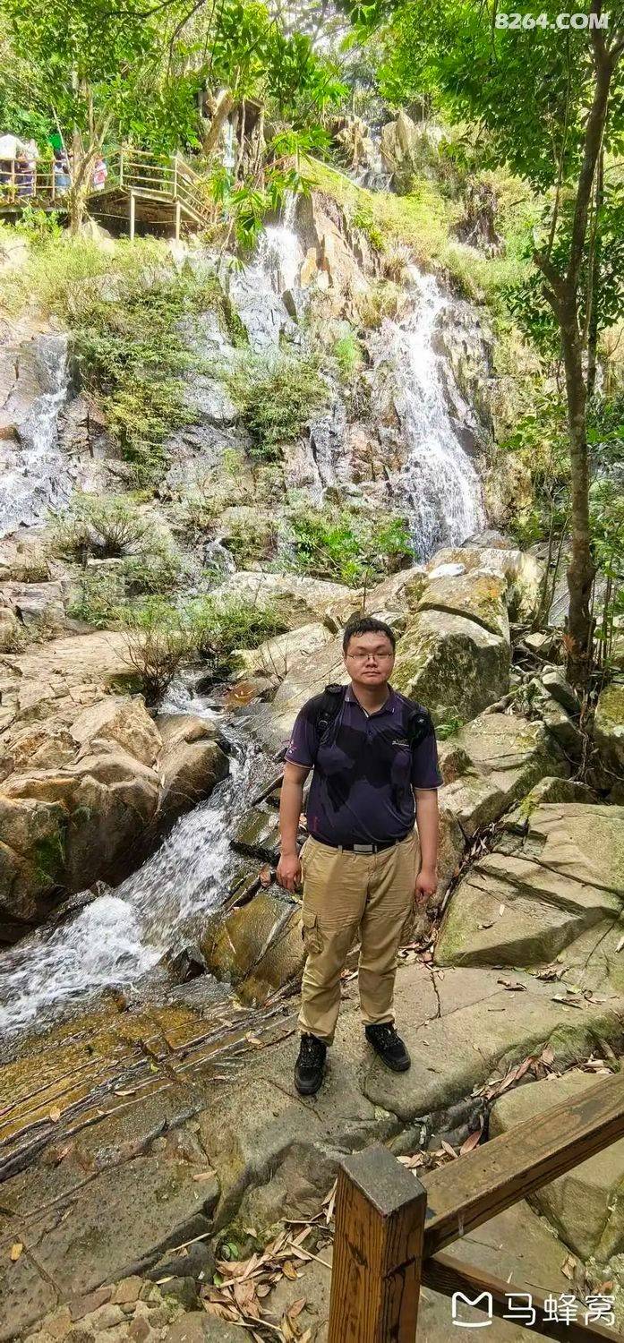 陵水青槟榔多少钱斤
