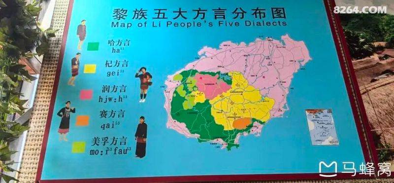陵水青槟榔多少钱斤