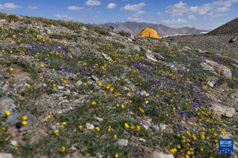 慕士塔格峰登山费用